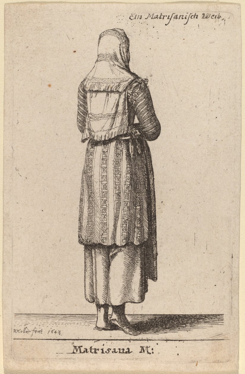 Matrisana M. autorstwa Wenceslaus Hollar