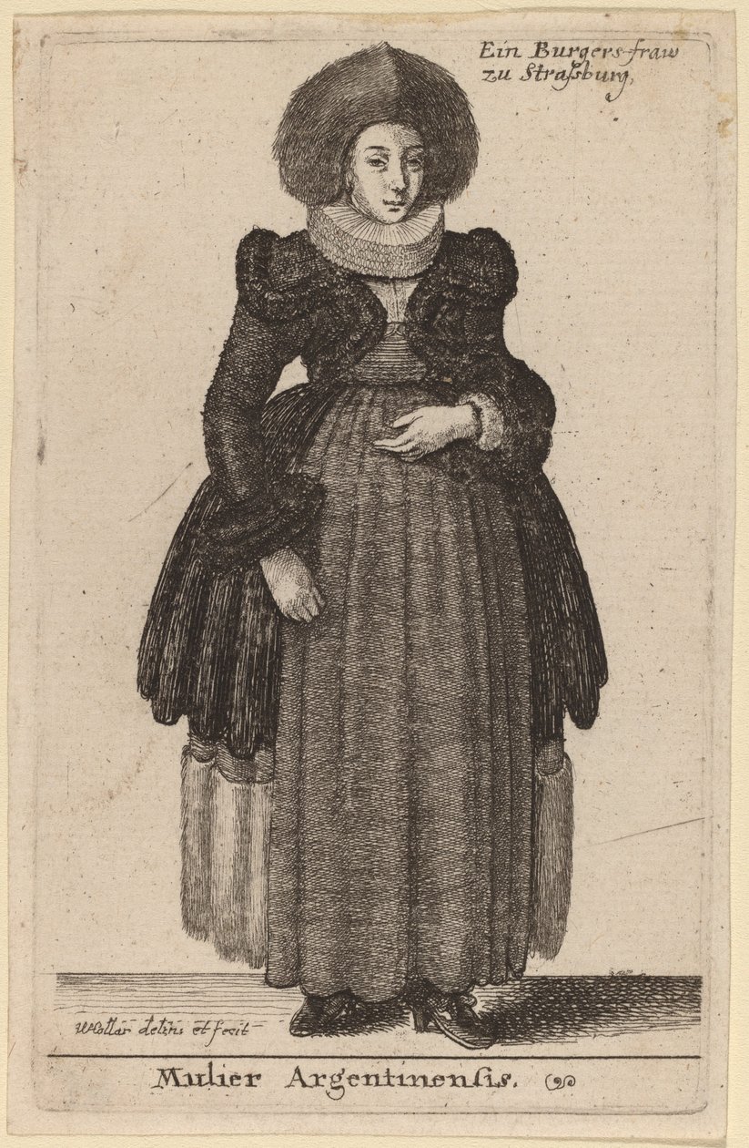 Argentynka autorstwa Wenceslaus Hollar