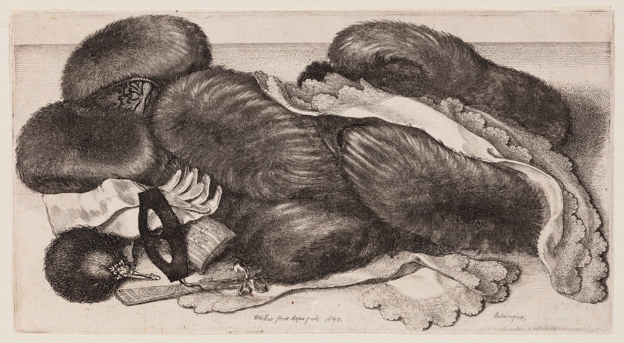 Kolekcja rękawiczek, rękawiczek z mankietami i szalików autorstwa Wenceslaus Hollar