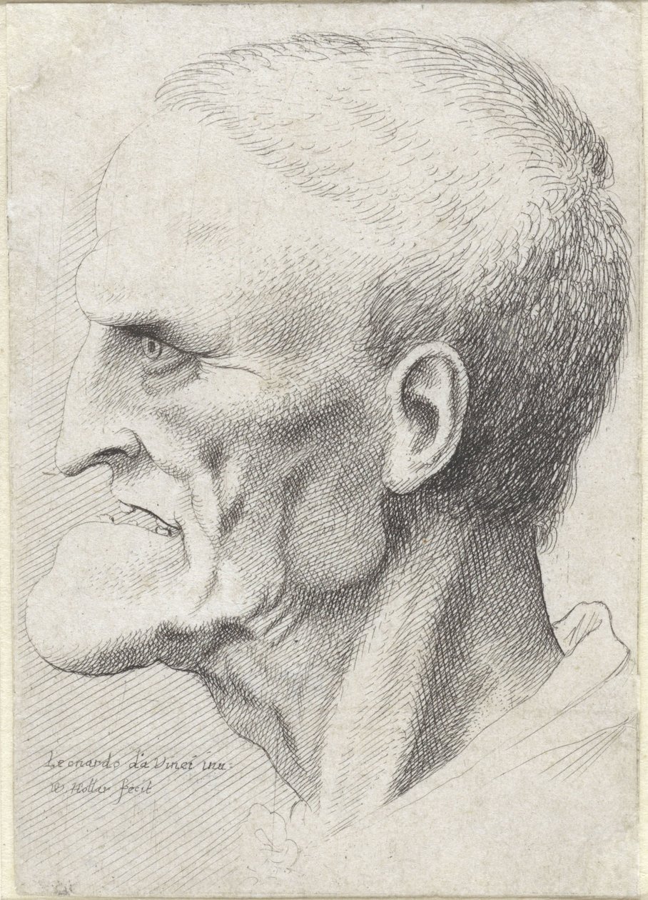 Portret starca z wyraźnym podbródkiem autorstwa Wenceslaus Hollar