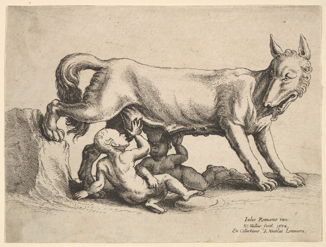Romulus i Remus, 1652. autorstwa Wenceslaus Hollar