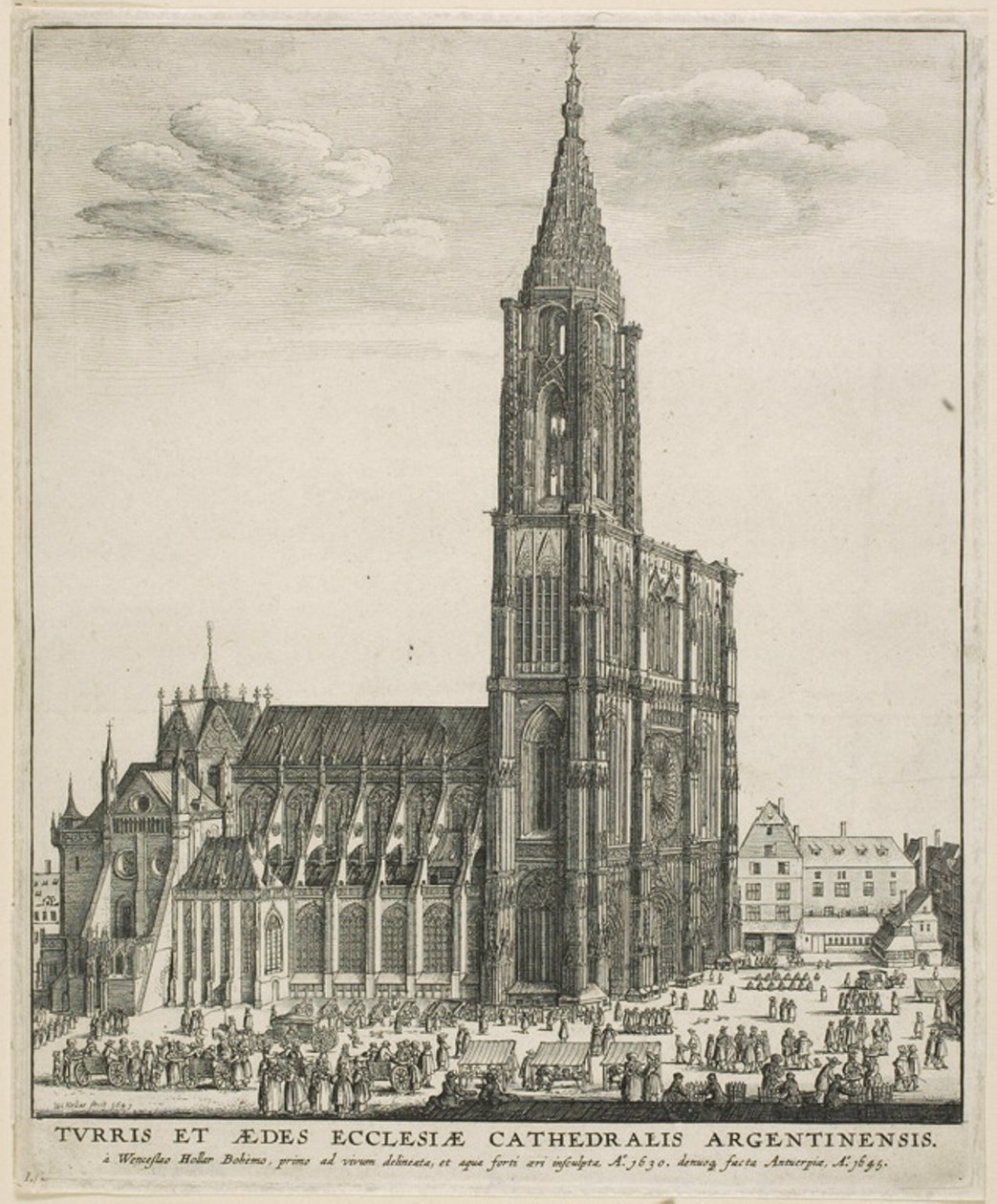 Katedra w Strasburgu autorstwa Wenceslaus Hollar