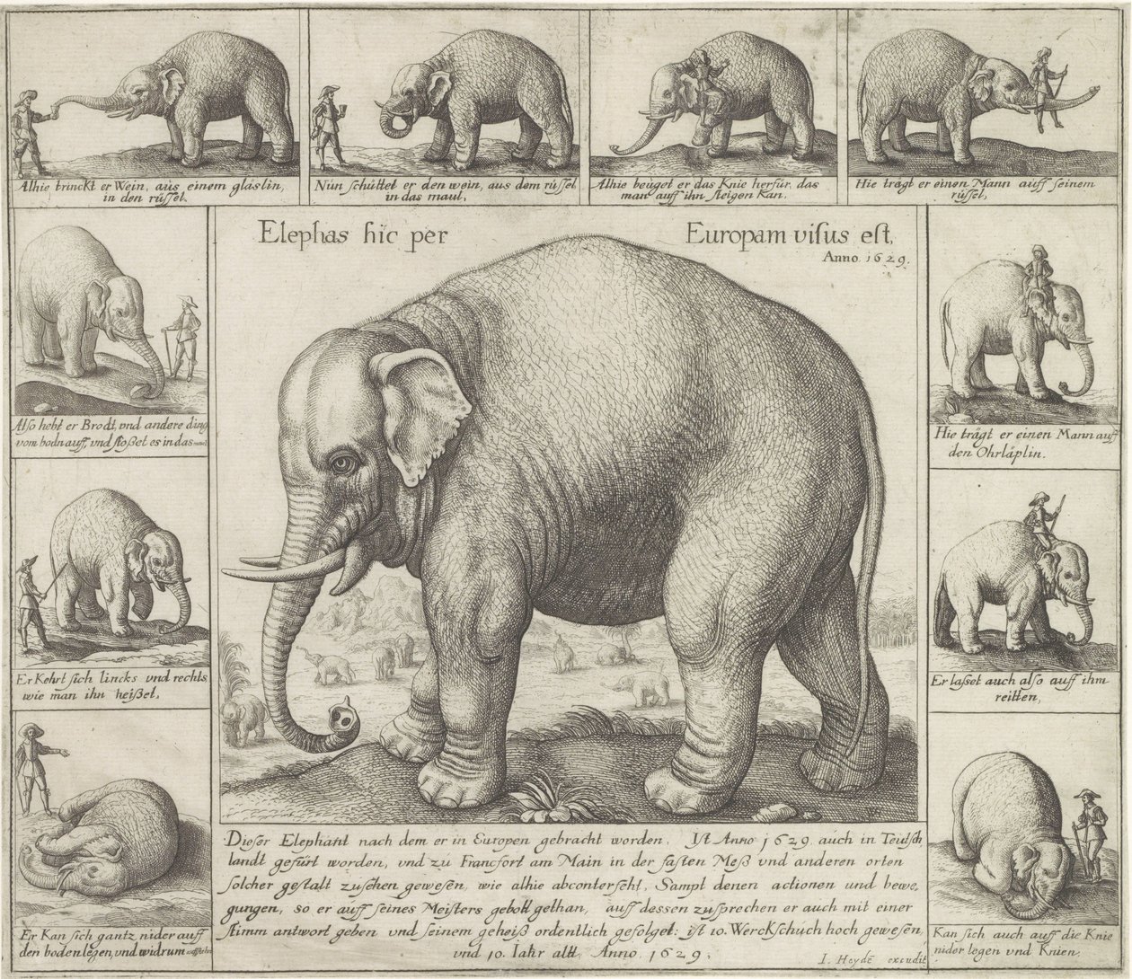 Oni też pachną W Europie widziano słonia (tytuł na obiekcie) autorstwa Wenceslaus Hollar