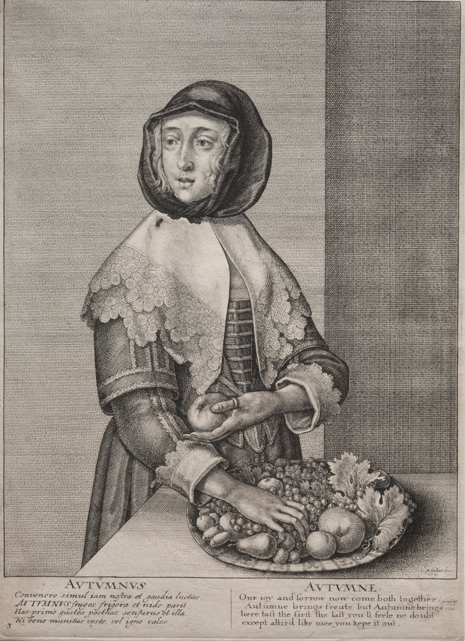 Cztery pory roku: jesień 1641. autorstwa Wenceslaus Hollar