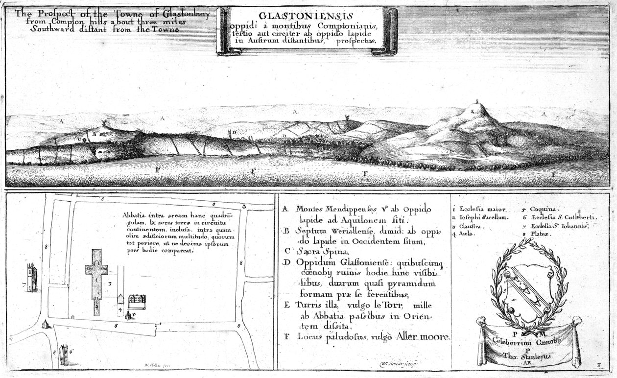 Perspektywa Towne of Glastonbury, koniec XVII wieku autorstwa Wenceslaus Hollar