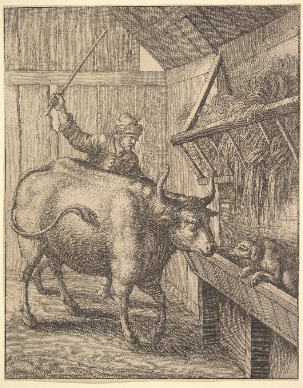 Pies w żłobie z ilustracji do sopics: Or A Second Collection..., 1666 Johna Ogilbysa. autorstwa Wenceslaus Hollar