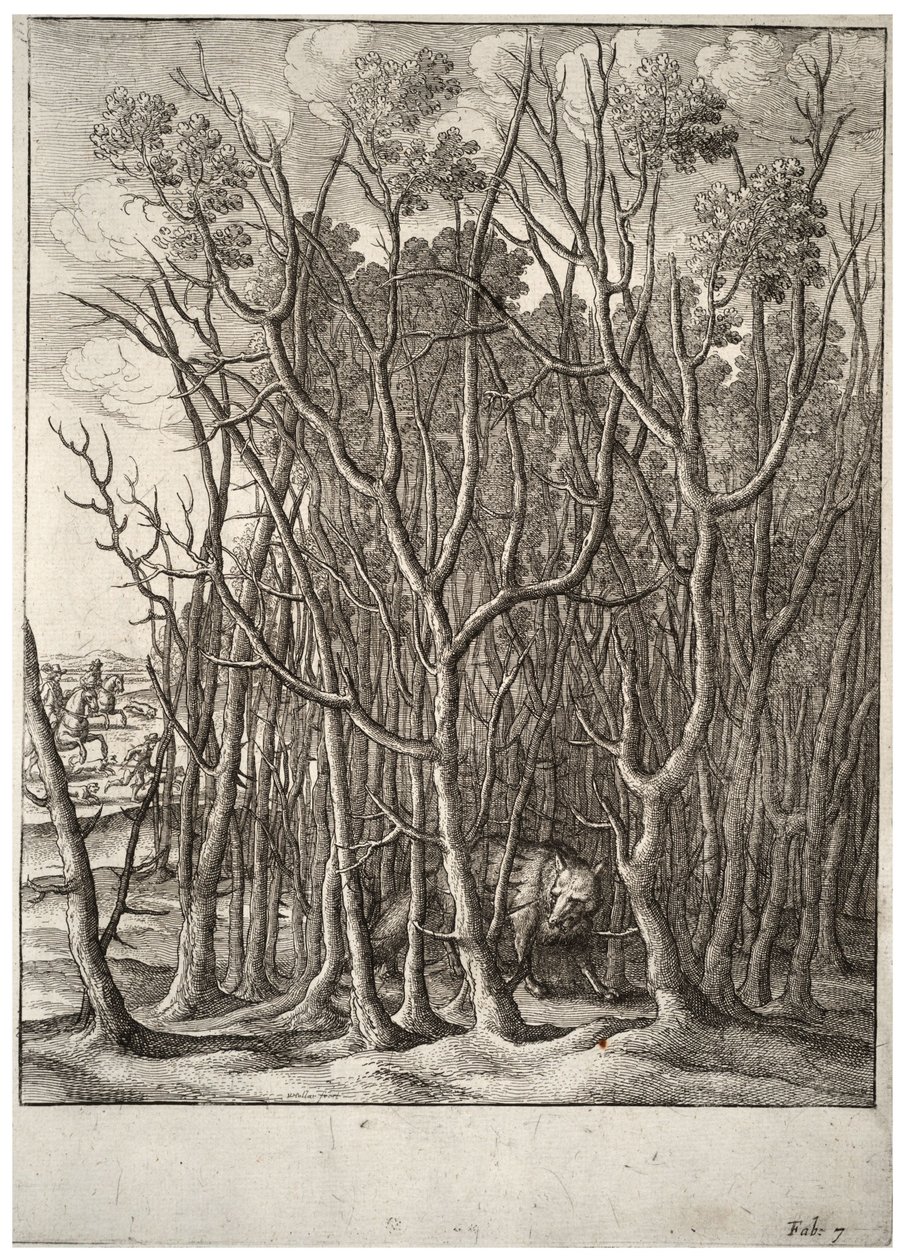 Lis i cierniowy krzew. Stan 2 autorstwa Wenceslaus Hollar
