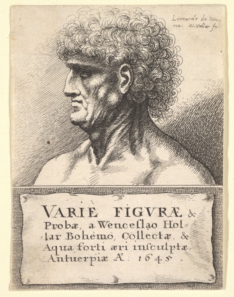 Strona tytułowa do Różnorodności figur i sond, 1645 autorstwa Wenceslaus Hollar