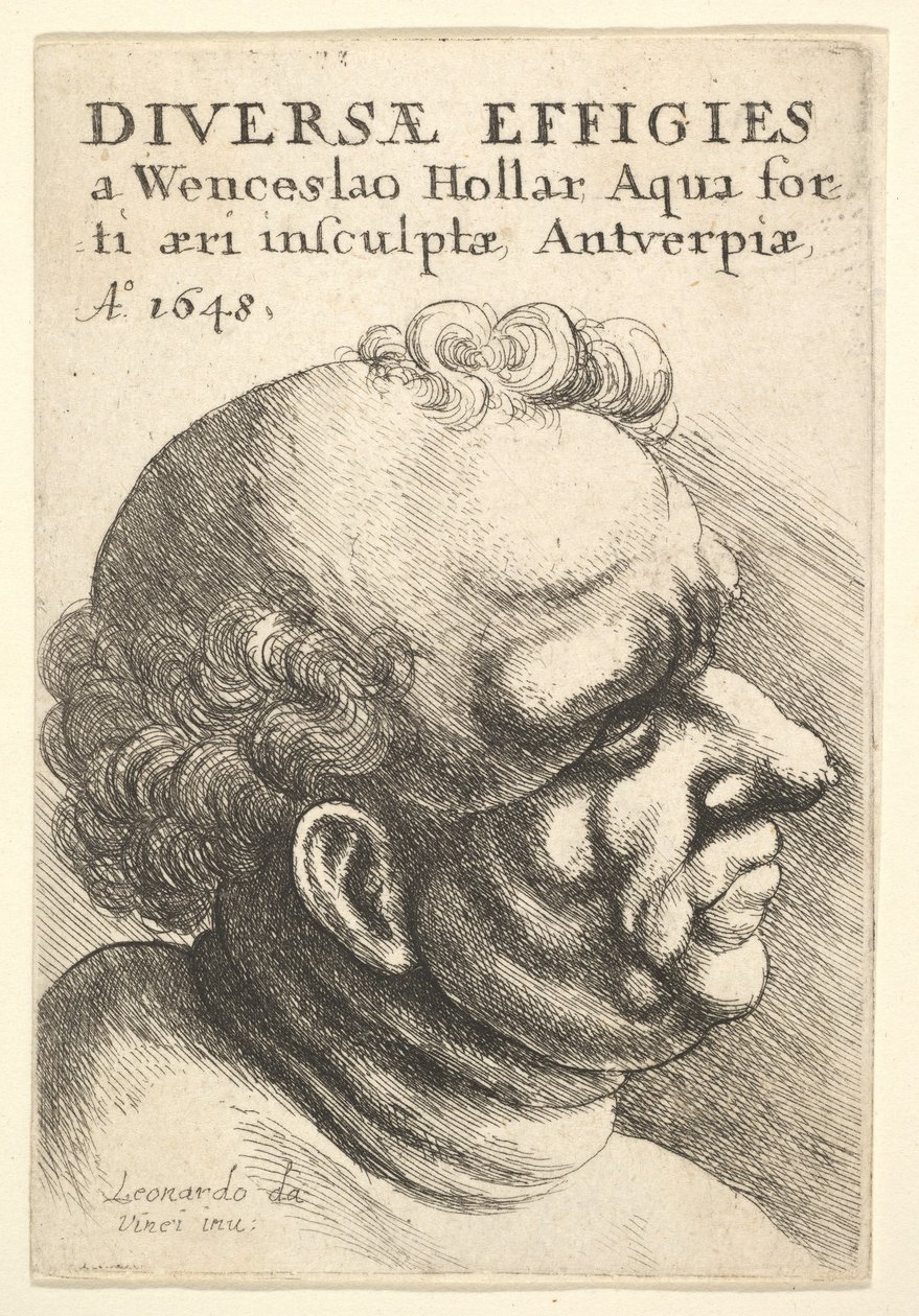Strona tytułowa, Różnorodne portrety, 1648 autorstwa Wenceslaus Hollar