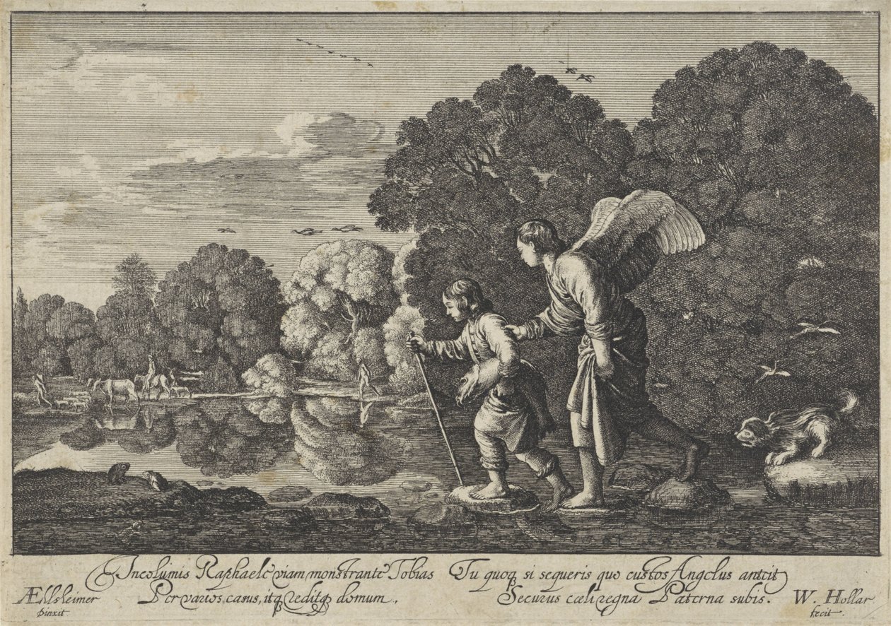 Tobiasz w Aniele autorstwa Wenceslaus Hollar