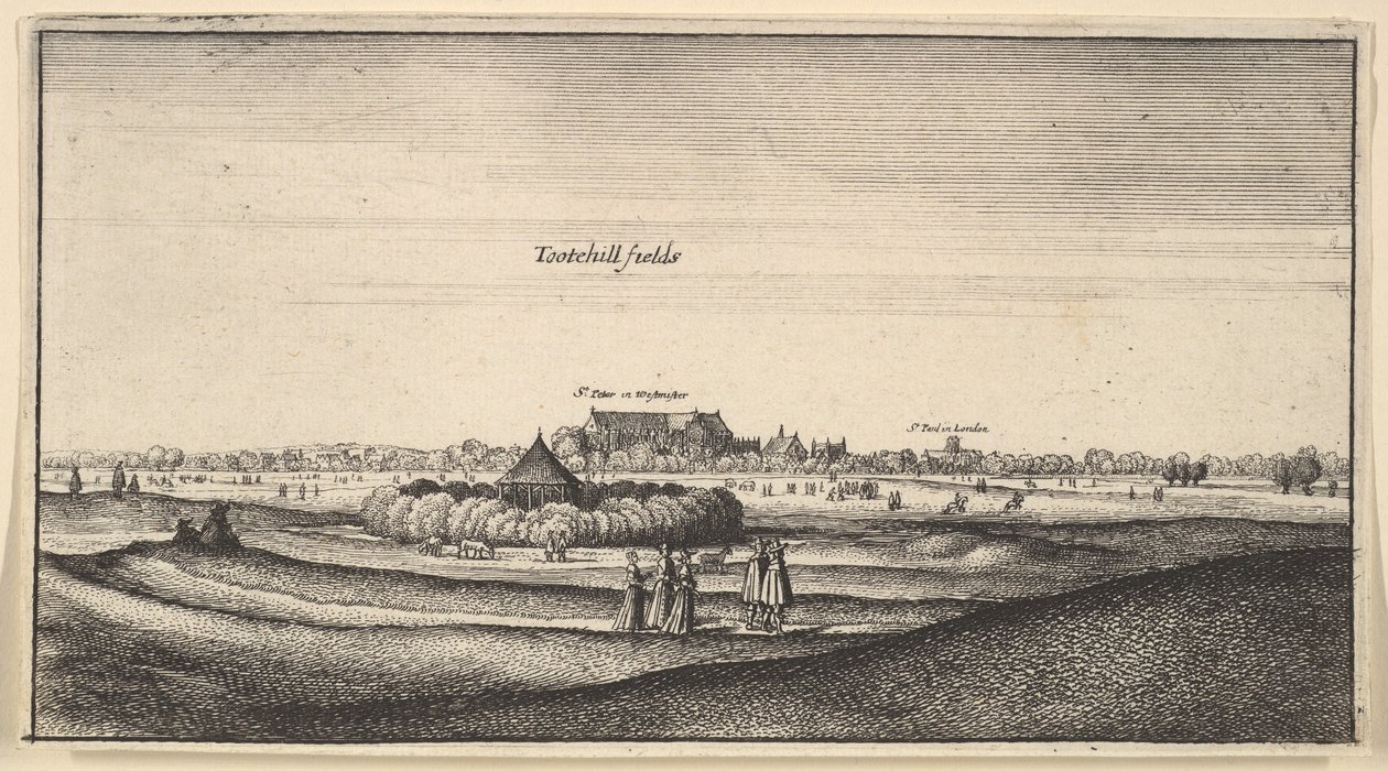 Pola Tootehill... Prospekt, 1625-77 autorstwa Wenceslaus Hollar