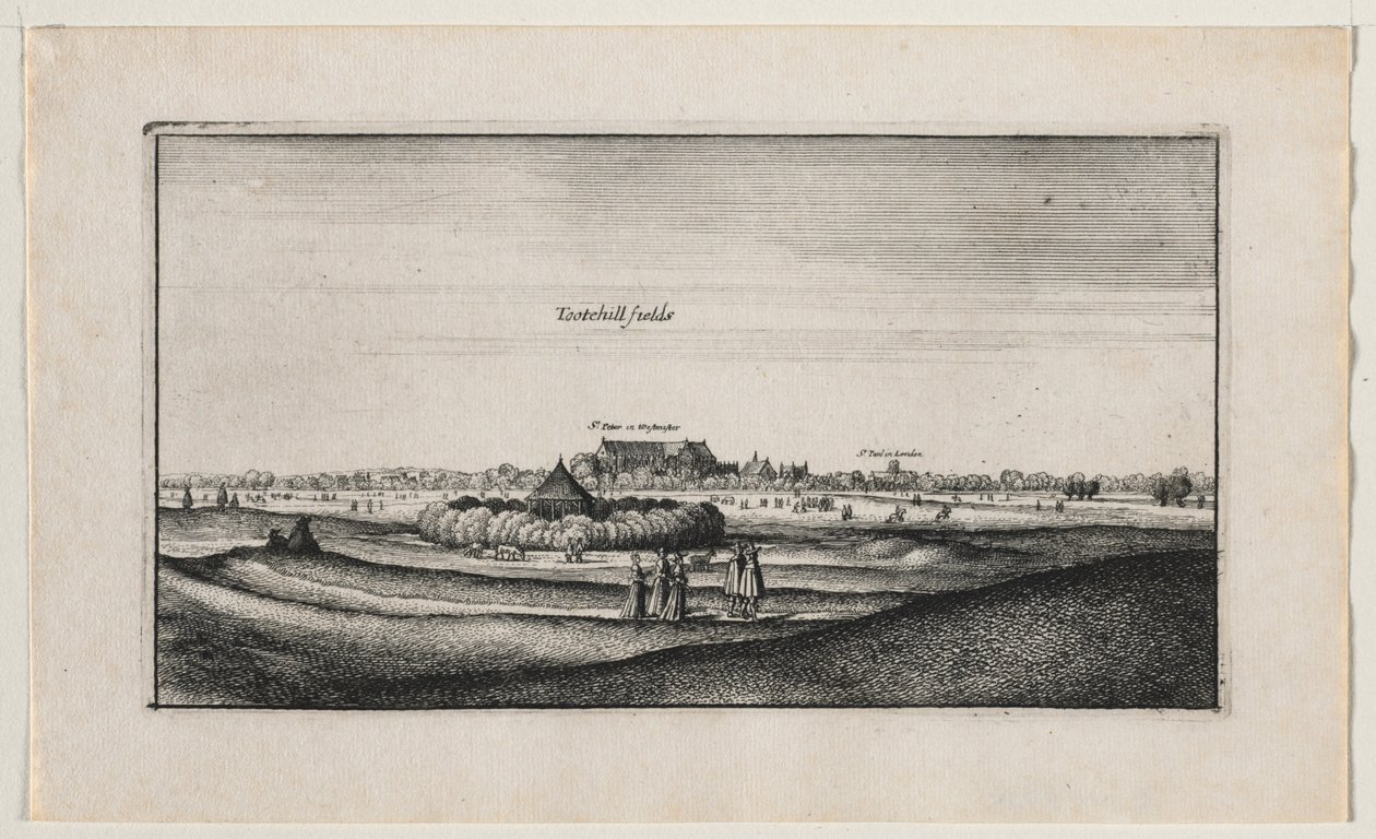 Pola żniwne autorstwa Wenceslaus Hollar