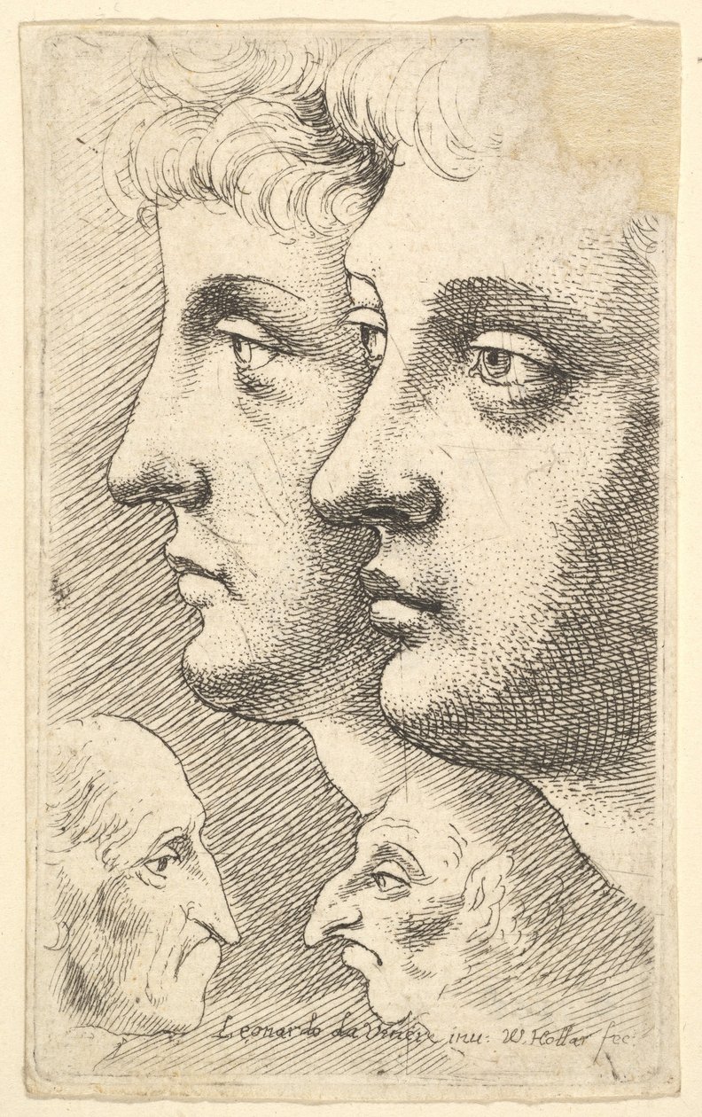 Dwóch młodzieńców z profilu po lewej z dwiema groteskowymi głowami zwróconymi do siebie w dole, 1625-77. autorstwa Wenceslaus Hollar