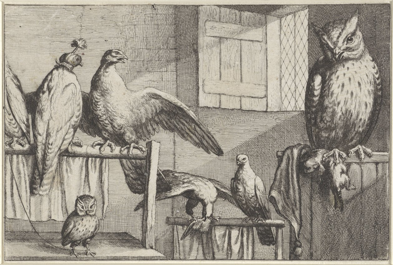 Sokoły i sowy w stodole Gatunki Diversae avium (tytuł serii) Różne ptaki (tytuł serii) autorstwa Wenceslaus Hollar