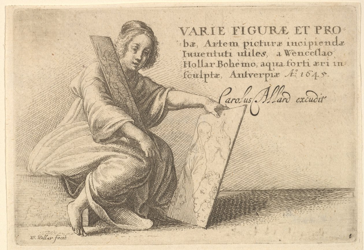 Różne figury i sondy, 1645 autorstwa Wenceslaus Hollar