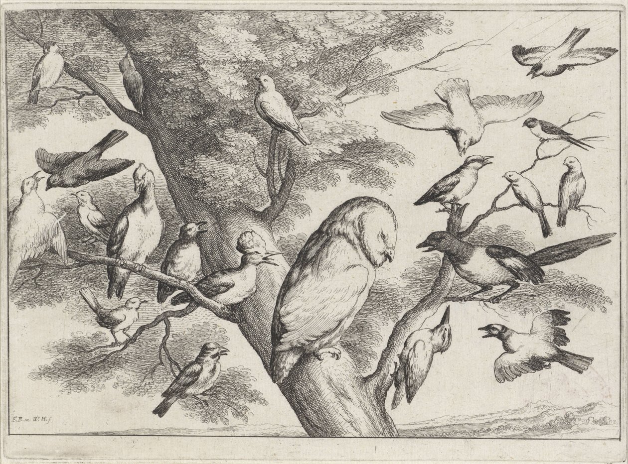 Ptaki na drzewie Różne ptaki (tytuł serii) autorstwa Wenceslaus Hollar