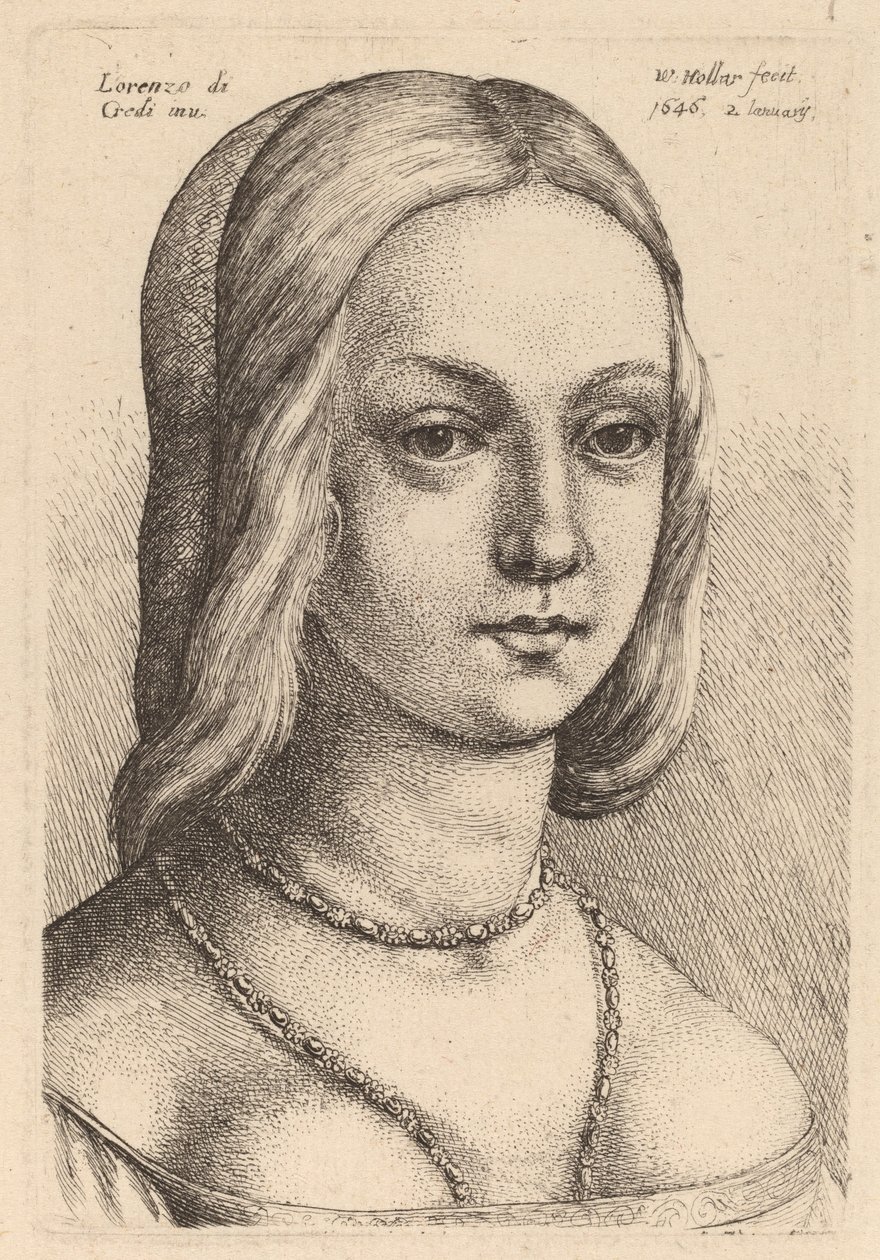Głowa kobiety patrzącej w prawo autorstwa Wenceslaus Hollar after Lorenzo di Credi