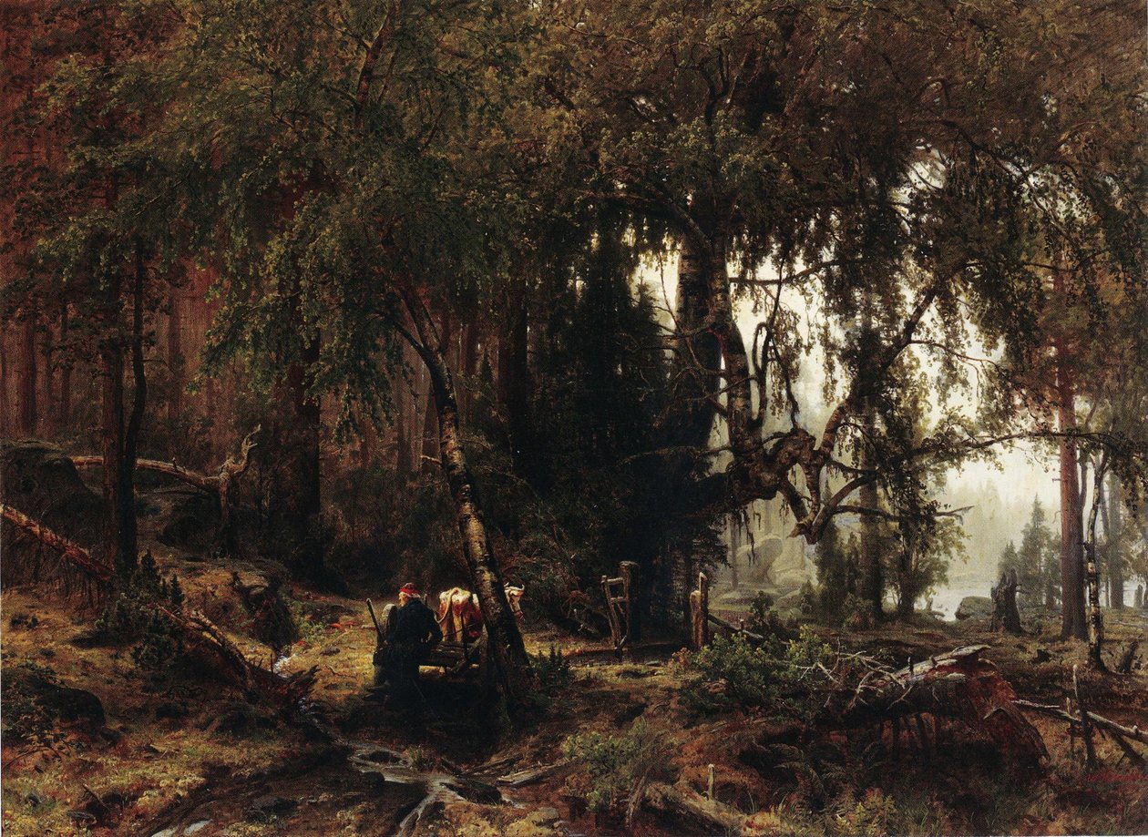Las w deszczu autorstwa Werner Holmberg