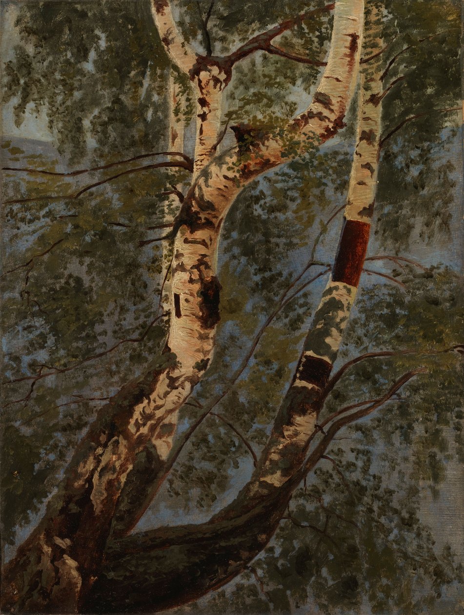 Bez tytułu autorstwa Werner Holmberg