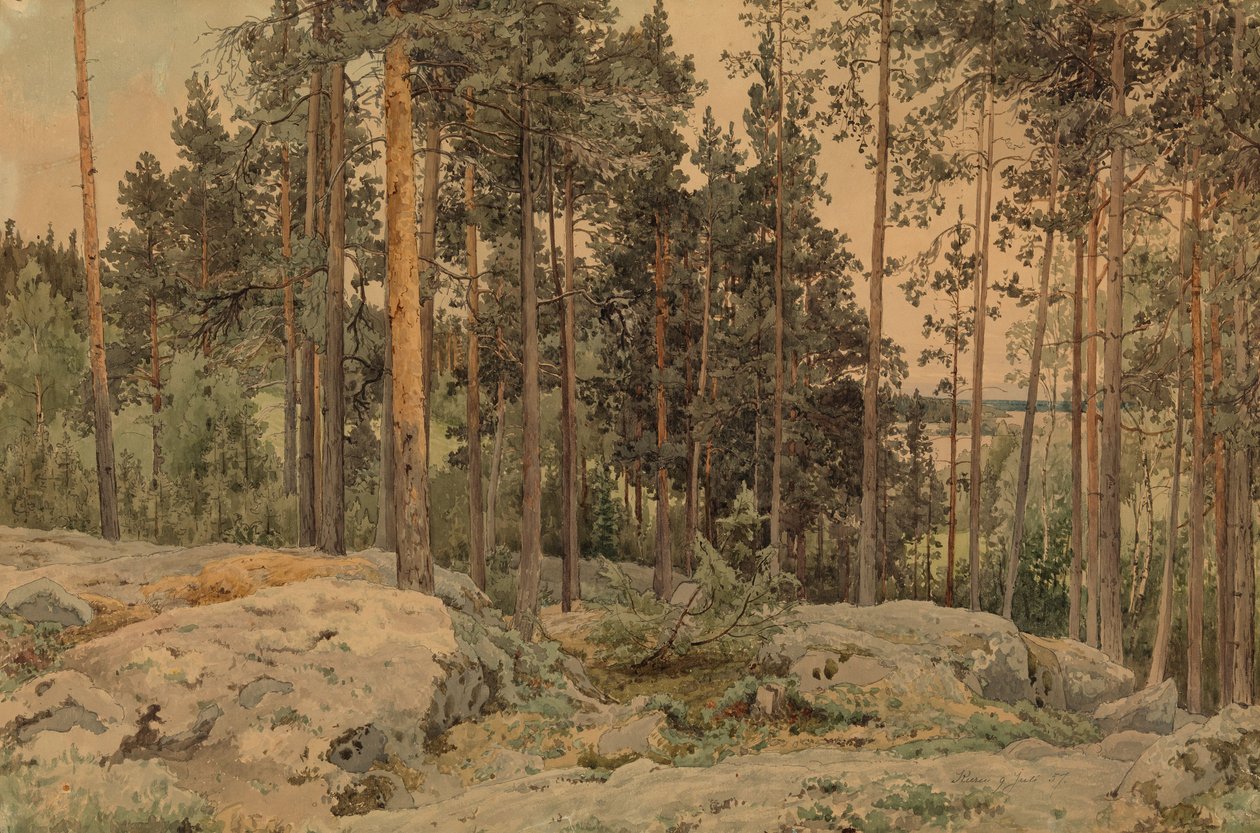 Bez tytułu autorstwa Werner Holmberg
