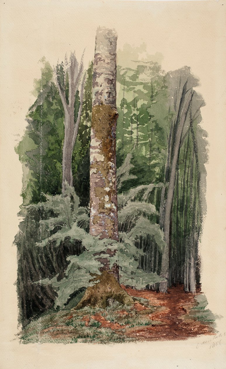 Bez tytułu autorstwa Werner Holmberg