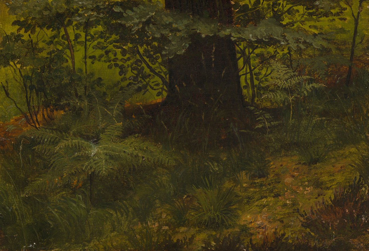 Bez tytułu autorstwa Werner Holmberg