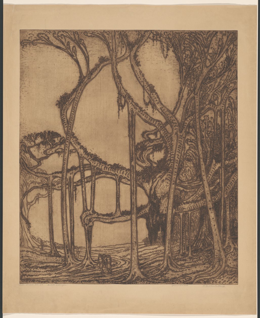 Stary waringin (oryginalny tytuł na obiekcie) autorstwa Wijnand Otto Jan Nieuwenkamp (signed by artist)