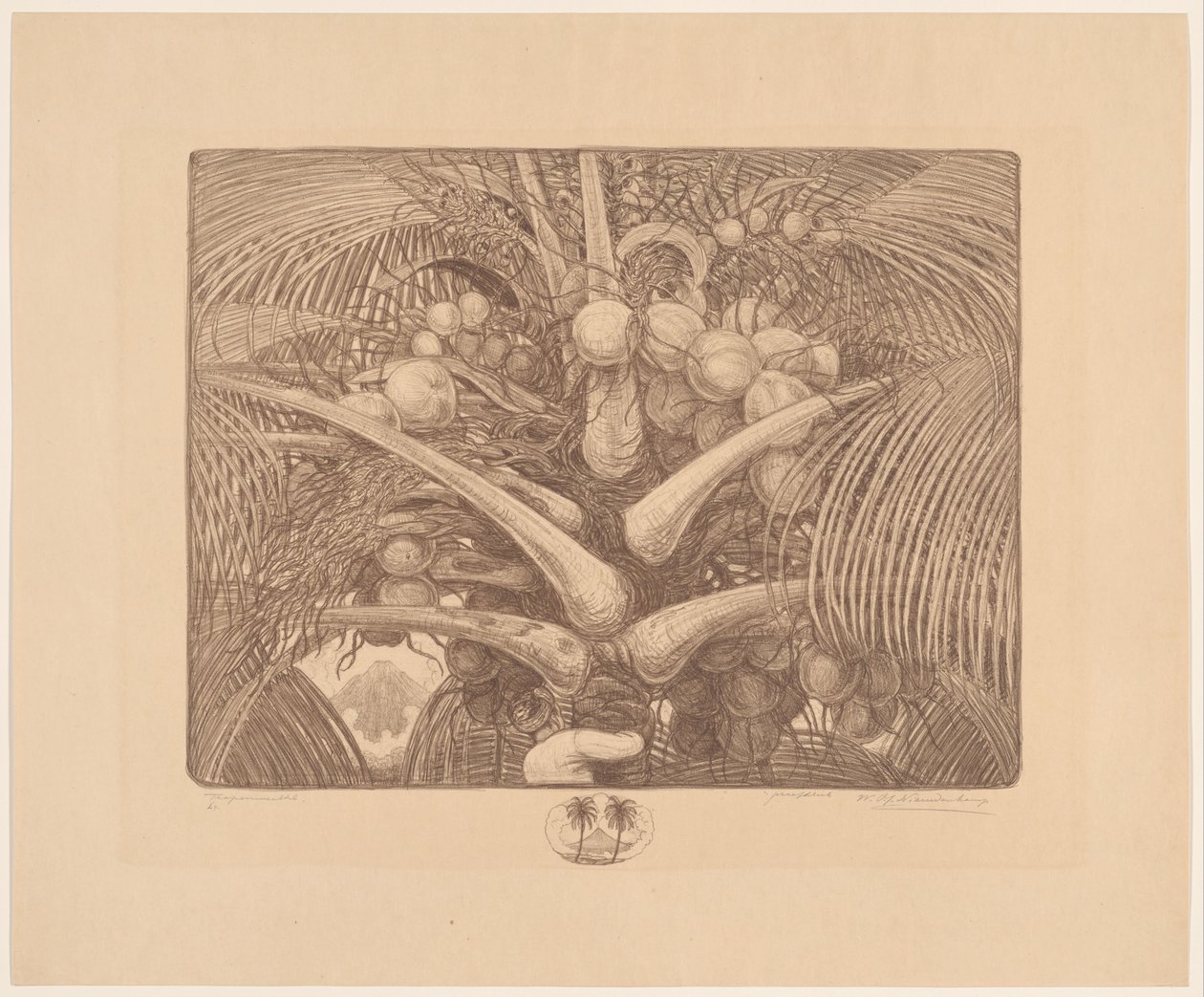 Wierzchołek drzewa kokosowego Tropenweelde (oryginalny tytuł na obiekcie) autorstwa Wijnand Otto Jan Nieuwenkamp (signed by artist)