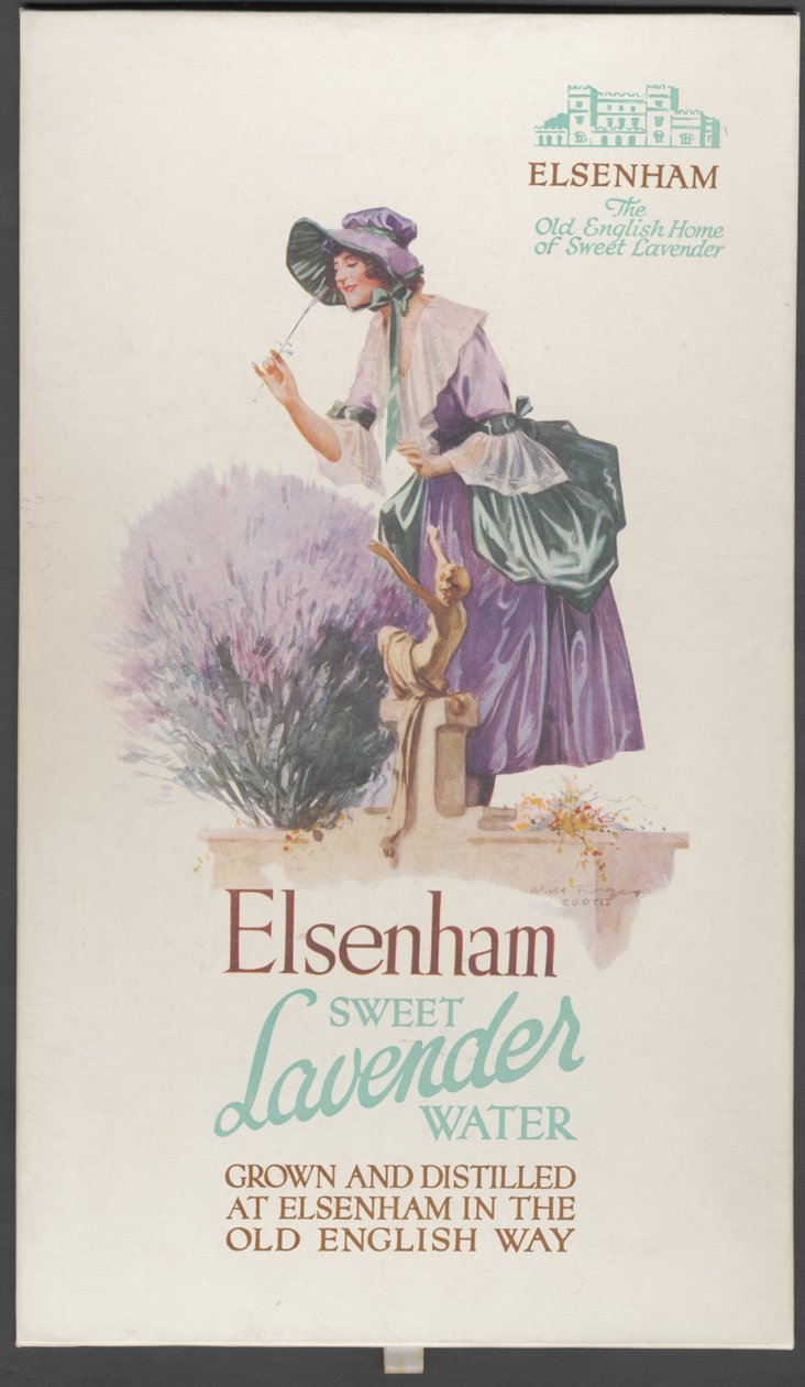 Lawenda Elsenham, lata 20. autorstwa Wilfred Fryer