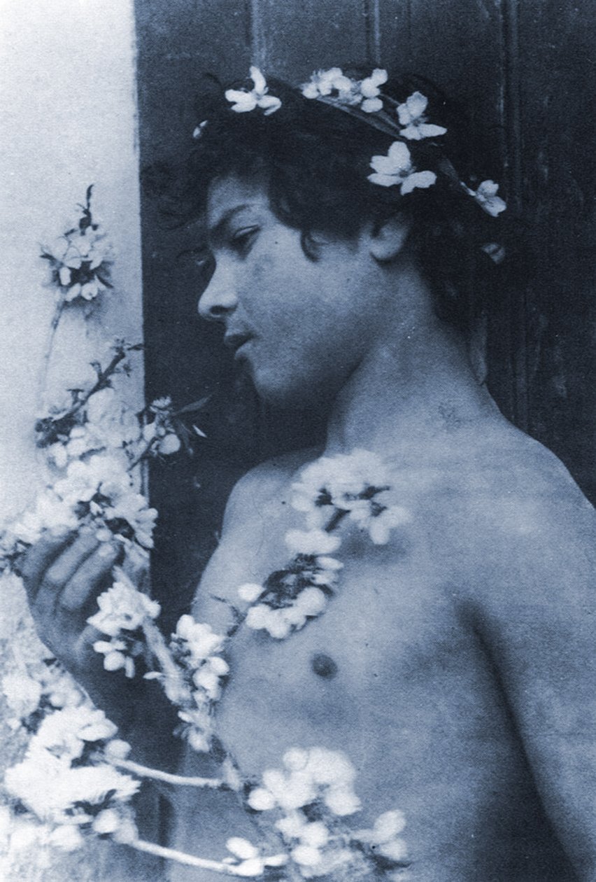 Studium młodego chłopca z kwiatami we włosach, ok. 1899 (cyjanotypia) autorstwa Baron Wilhelm von Gloeden