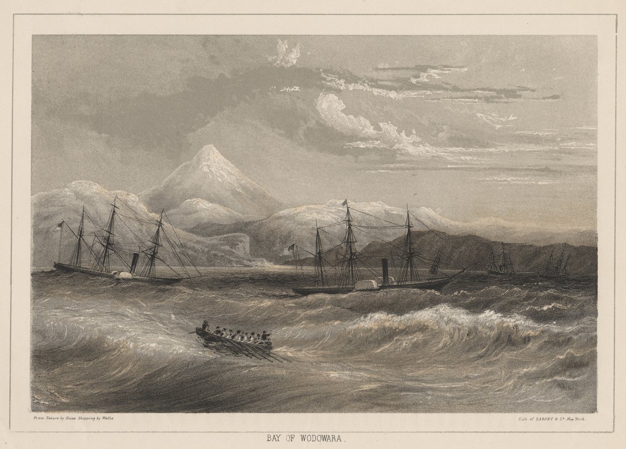 Bay of Wodowara, 1855 autorstwa Wilhelm Joseph Heine