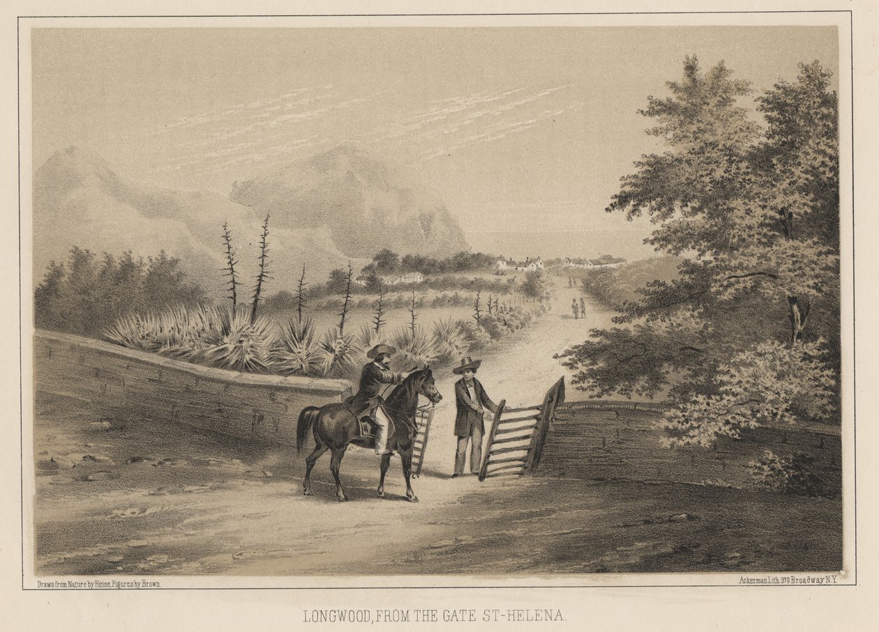 Longwood, Od bramy, Św. Helena, 1855 autorstwa Wilhelm Joseph Heine