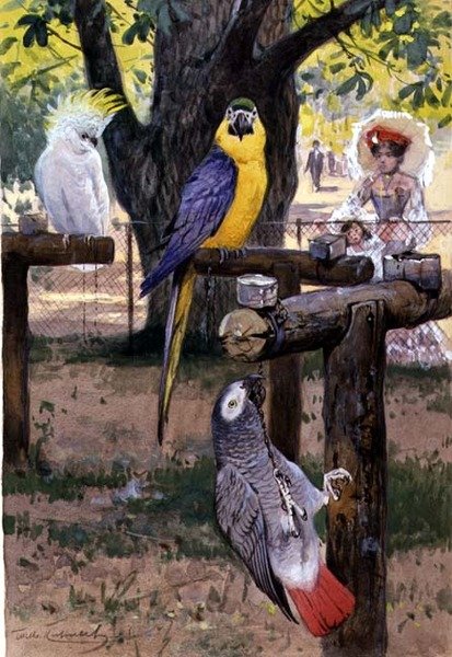 W zoo autorstwa Wilhelm Kuhnert