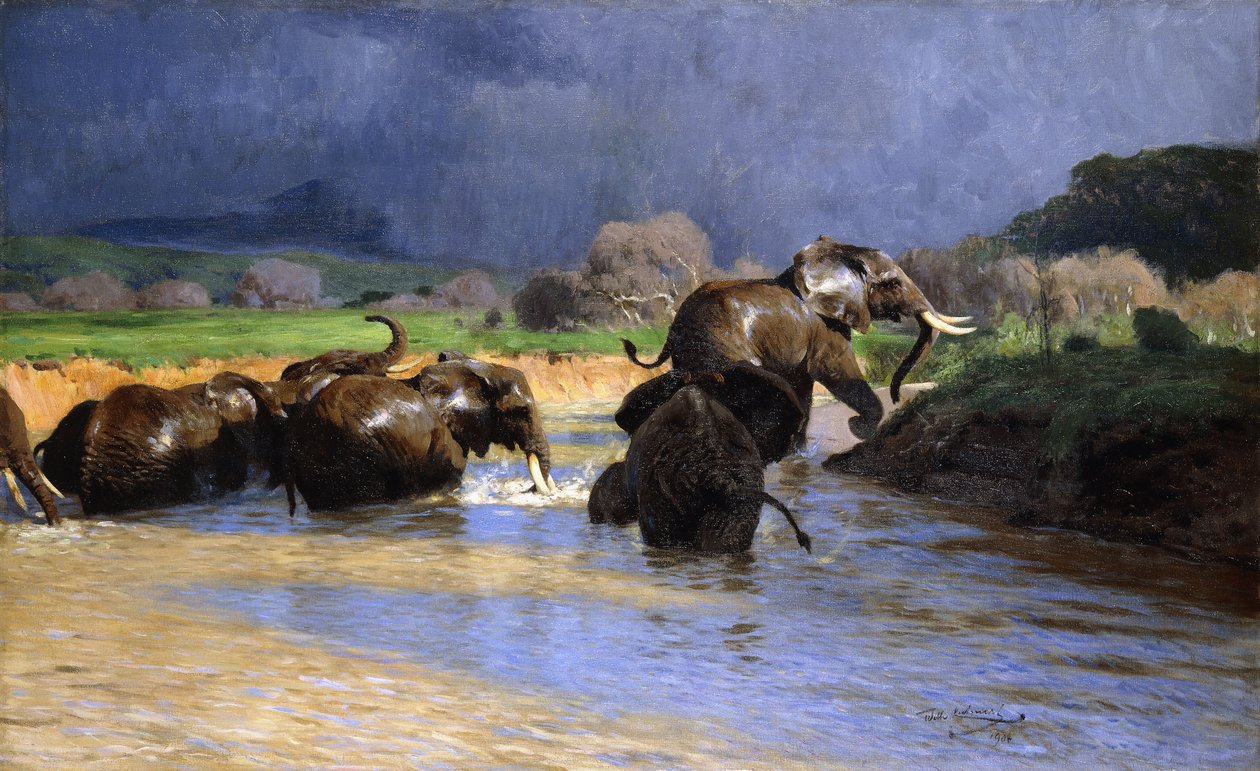 Słonie w kąpieliskach; Słonie w kąpieliskach, 1908 autorstwa Wilhelm Kuhnert