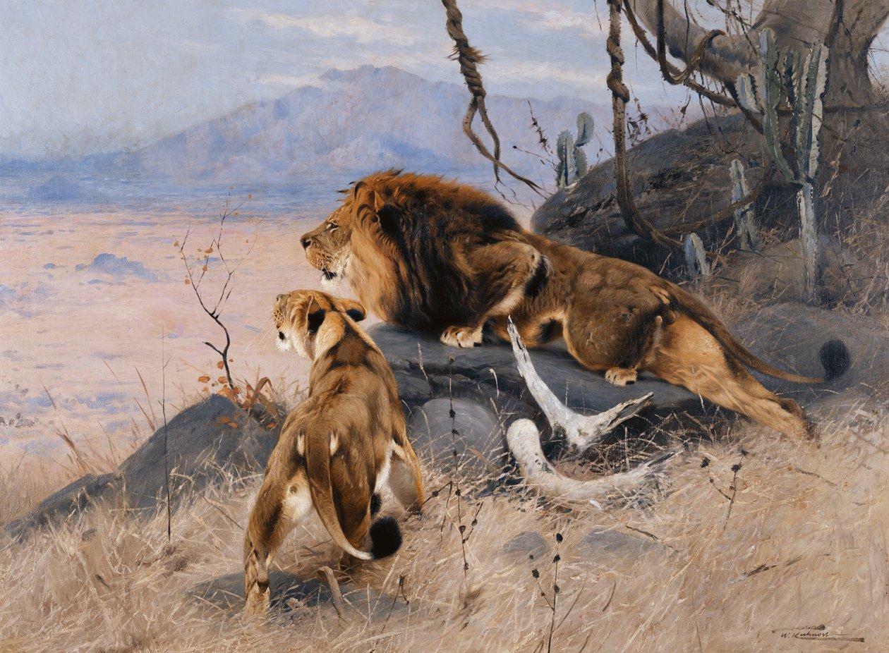Lew i Lwica; Lowe i Lowin, autorstwa Wilhelm Kuhnert
