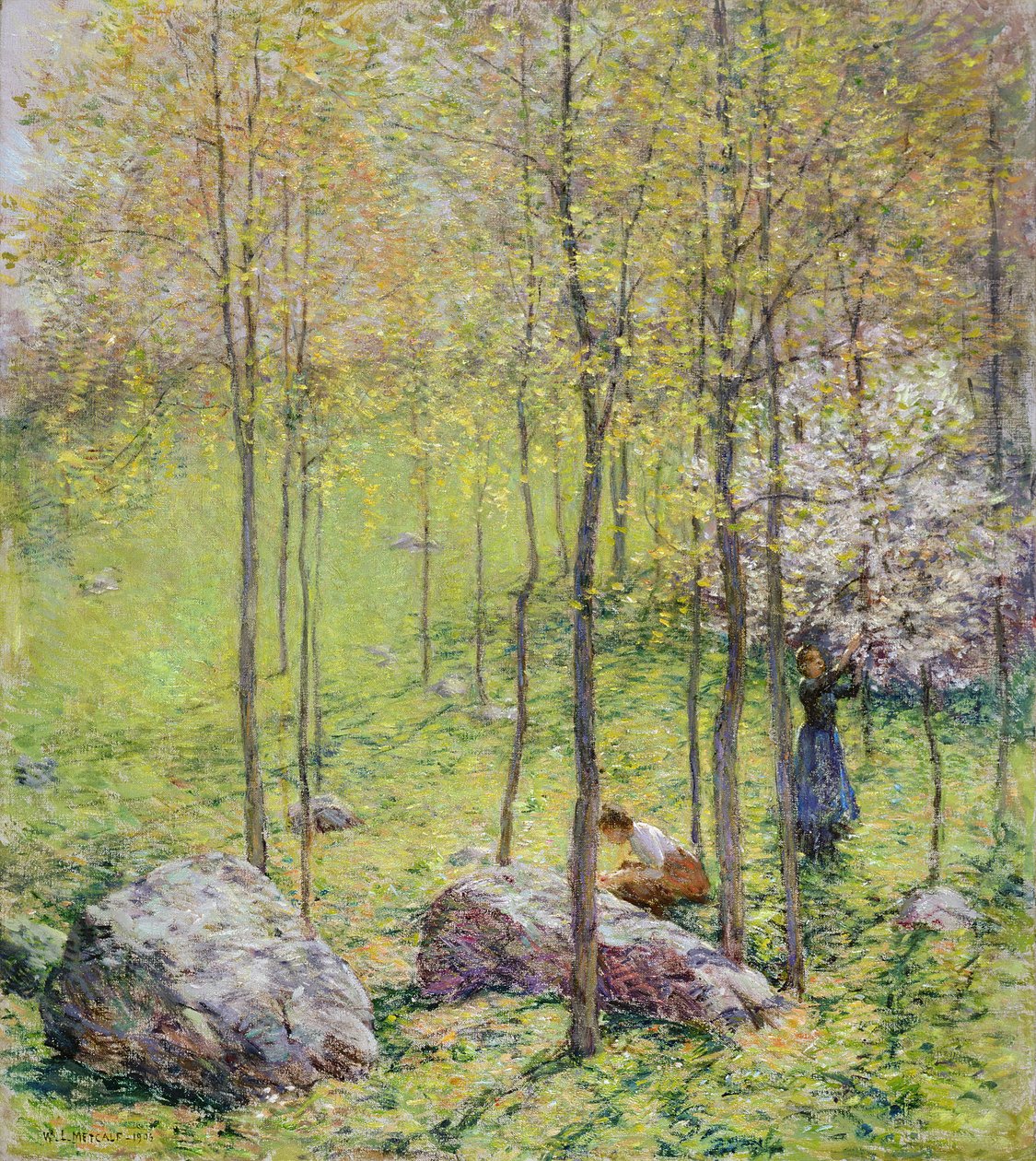 Kwiaty derenia, 1906 autorstwa Willard Leroy Metcalf