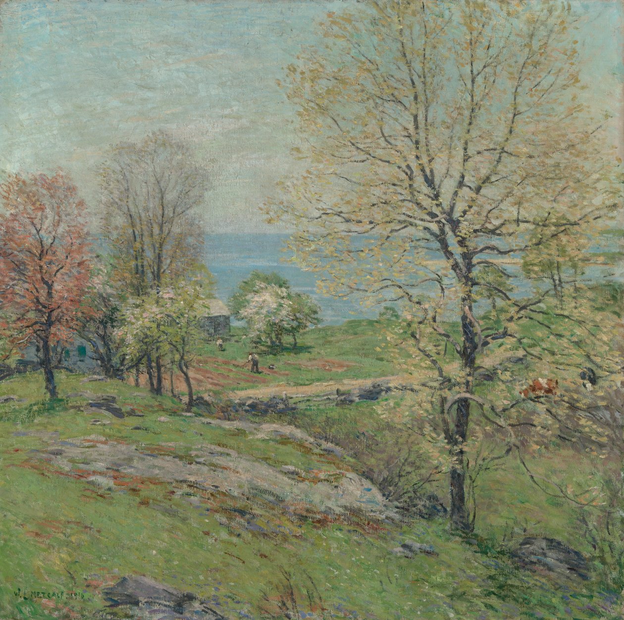 Pączkujący dąb, 1916. autorstwa Willard Leroy Metcalf