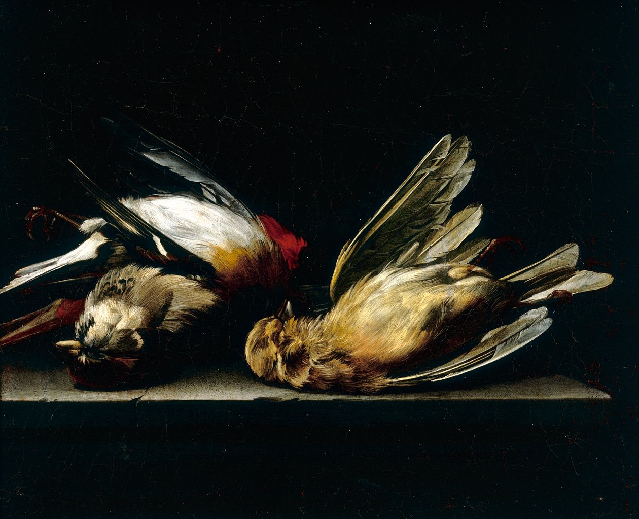 Martwe małe ptaki autorstwa Willem van Aelst