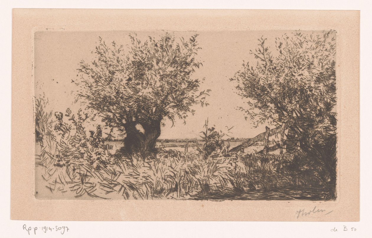 Krajobraz z łąką, wierzbami głuchymi i ogrodzeniem Willows (Kaag) (tytuł oryginalny) autorstwa Willem Bastiaan Tholen (signed by artist)