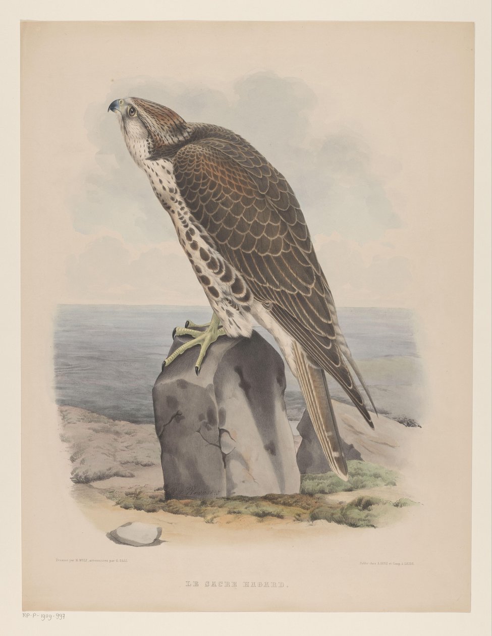 Valk Le Sacre Hagard (tytuł na obiekcie) autorstwa Willem Bastiaan van Wouw