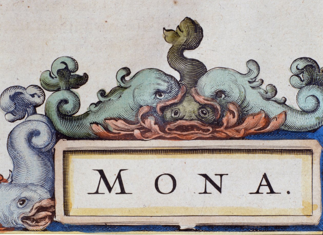 Delfiny, fronton w stylu Roquaille. Szczegół Atlas di W. Blaeu, Amsterdam 1650. autorstwa Willem Blaeu