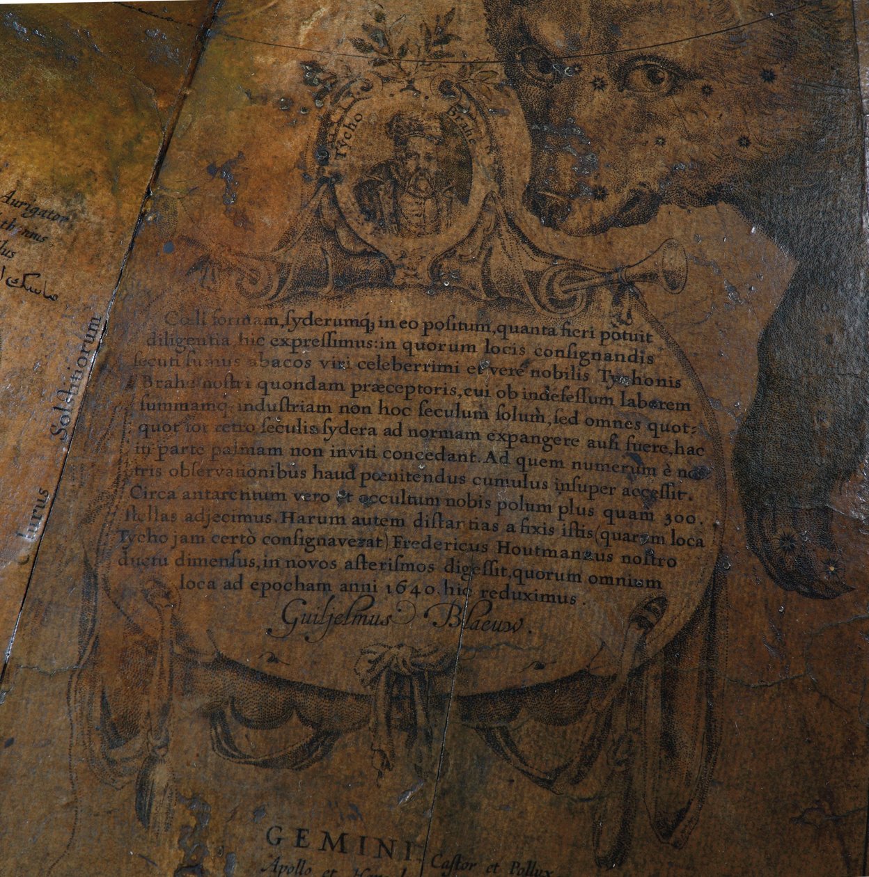 Duża para globusów bibliotecznych, ziemski 1645/48, niebieski po ok. 1630 autorstwa Willem Blaeu