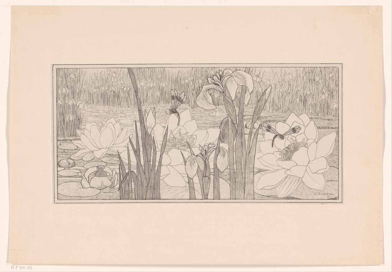 lilie wodne autorstwa Willem C. Scherjon