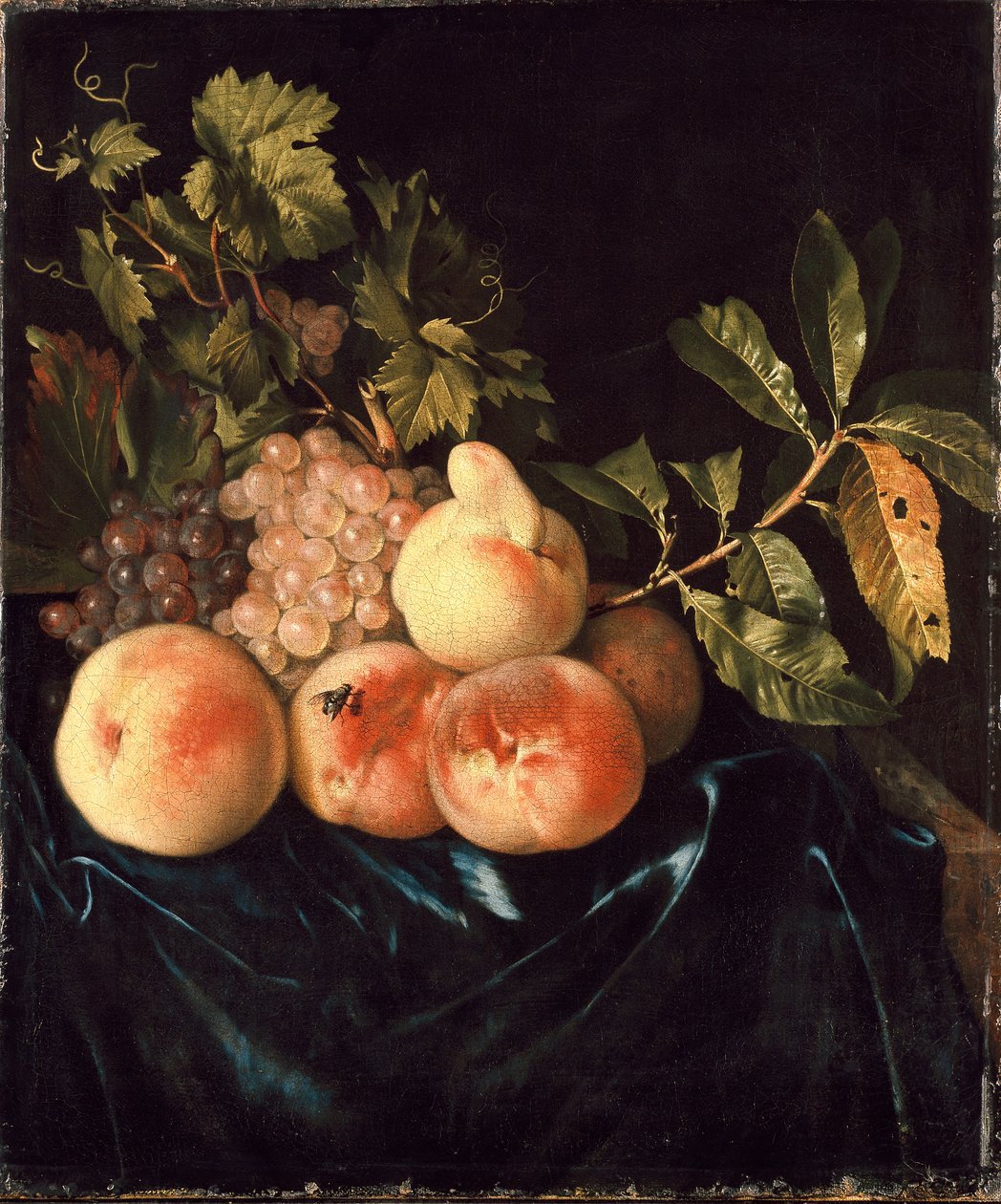Martwa natura z brzoskwiń i winogron, 1705 autorstwa Willem Frederiksz van Royen