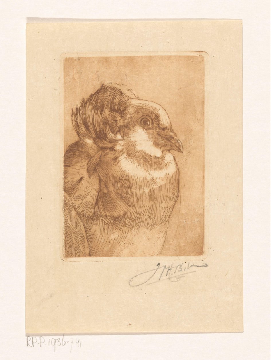 Badanie gołębia autorstwa Willem Hendrik Bik (signed by artist)