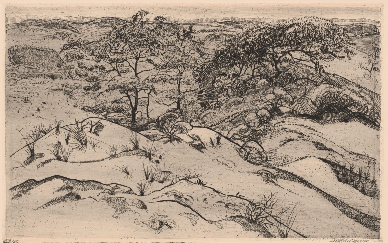 krajobraz wydm autorstwa Willem Jansen (graveur) (signed by artist)