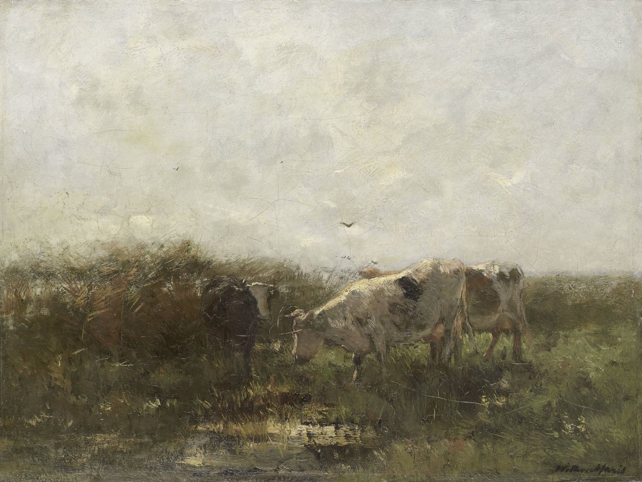  autorstwa Willem Maris