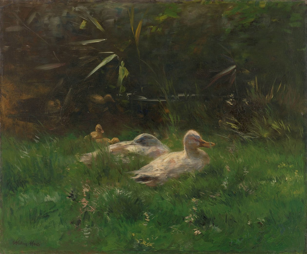 kaczki autorstwa Willem Maris