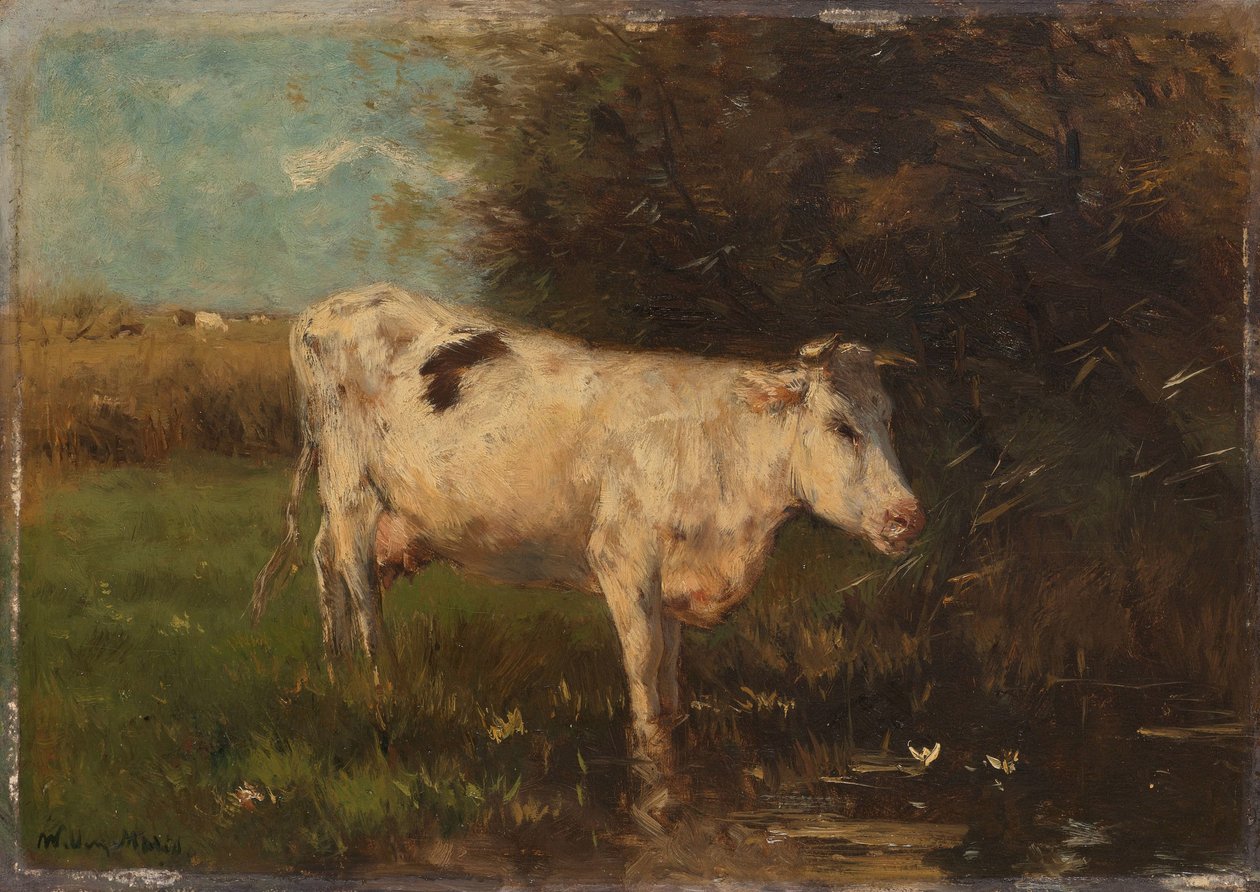 Biała Krowa autorstwa Willem Maris