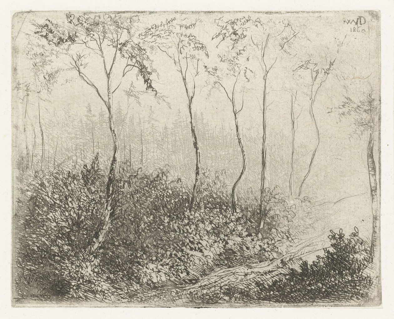 leśny krajobraz autorstwa Willem Matthias Jan van Dielen